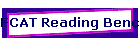 FCAT Reading Benchmarks